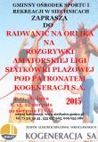 Amatorska Liga Siatkówki Plażowej Radwanice 2015