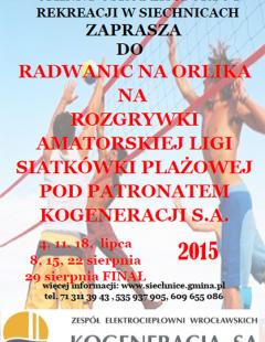 Amatorska Liga Siatkówki Plażowej Radwanice 2015