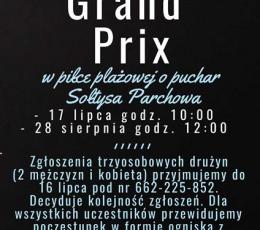Grand Prix o Puchar Sołtysa Parchowa -...