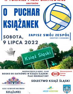 II Turniej Siatkówki Plażowej o Puchar Książanek