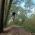 Bartek Grzybowski